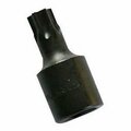 Tool Time 38 in. Drive Tamper-Proof Bit T50 TO907618